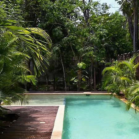 Mayan Culture With Rooftop Pool Tulum