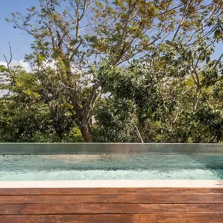Mayan Culture With Rooftop Pool Tulum