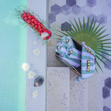 Apartment Dream House! Sweet, Calm Ph, Private Pool, Cenote *