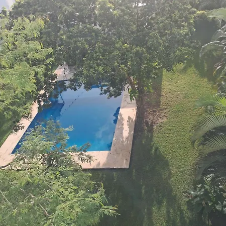 Apartment Antal *