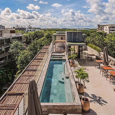 Apartment 1br Swim Up Loft With Private Cenote Rooftop Pool *