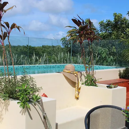 Apartment Vicenta 3 *