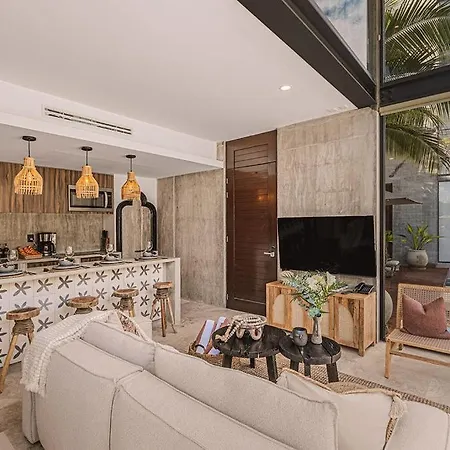 1br Swim Up Loft With Private Cenote Rooftop Pool Apartment *