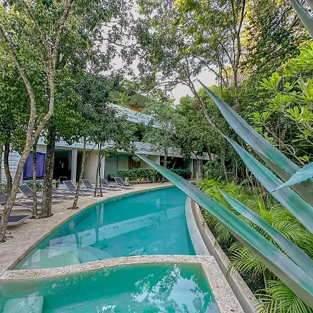 Dream House! Sweet, Calm Ph, Private Pool, Cenote * Tulum