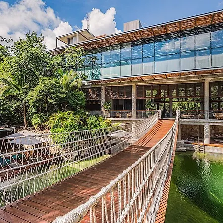 1br Swim Up Loft With Private Cenote Rooftop Pool