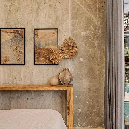 Apartment 1br Swim Up Loft With Private Cenote Rooftop Pool