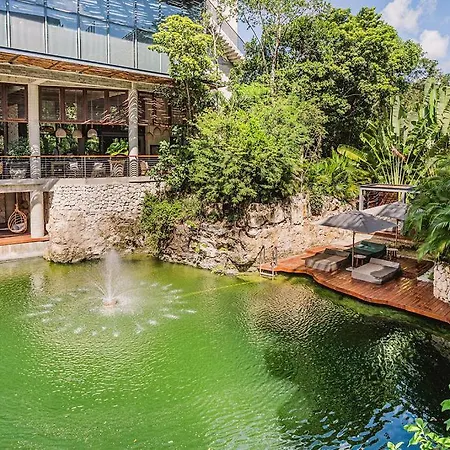 1br Swim Up Loft With Private Cenote Rooftop Pool * Tulum