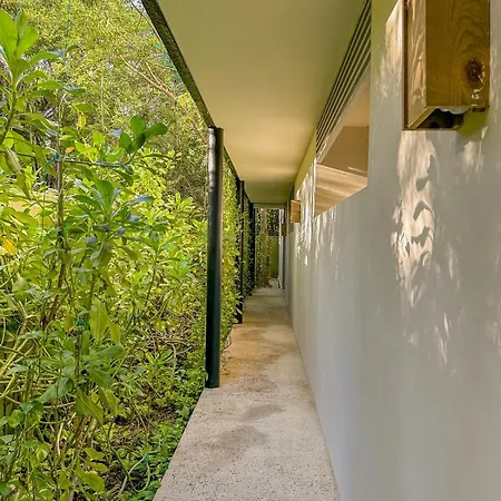 Dream House! Sweet, Calm Ph, Private Pool, Cenote *