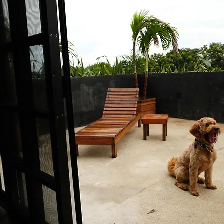 Turquoise (adults Only) 3* Tulum
