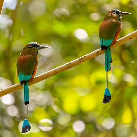 Treehouse H2ojos Lodge
