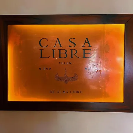 Casa Libre - Depa Con Gimnasio, Area De Yoga Y Alberca *