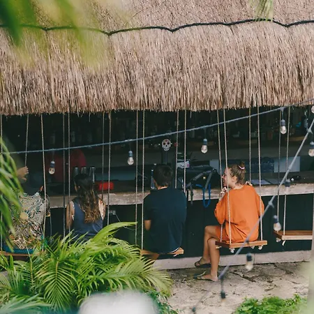 Mayan Monkey - Social (adults Only) Tulum