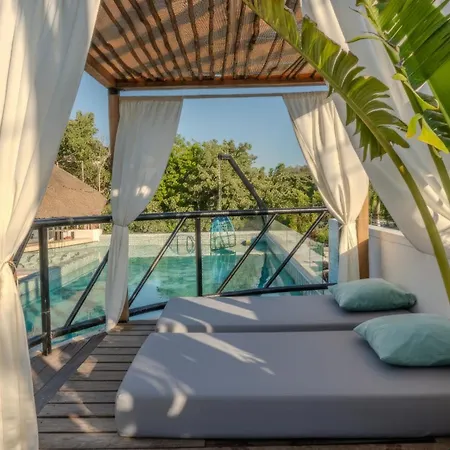 Mayan Monkey - Social (adults Only) Hostal *
