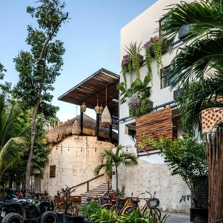 Mayan Monkey - Social (adults Only) *