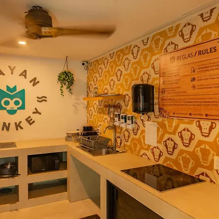 Mayan Monkey - Social (adults Only)