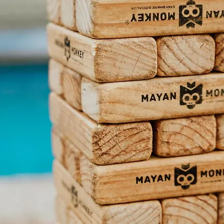Hostal Mayan Monkey - Social (adults Only)