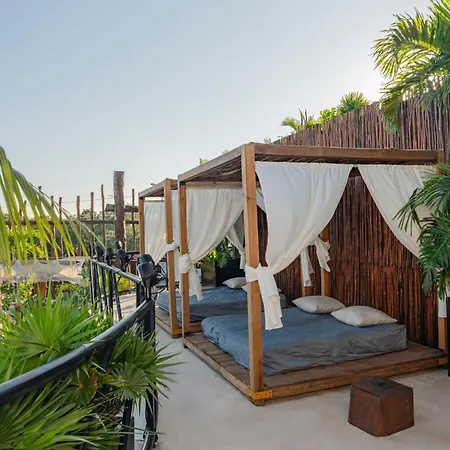 Mayan Monkey - Social (adults Only) Hostal *