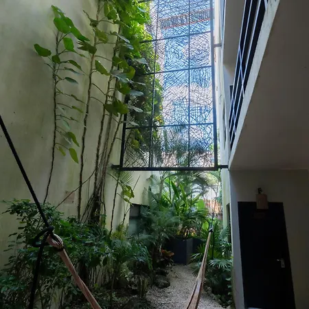 Hostal Mayan Monkey - Social (adults Only) Tulum