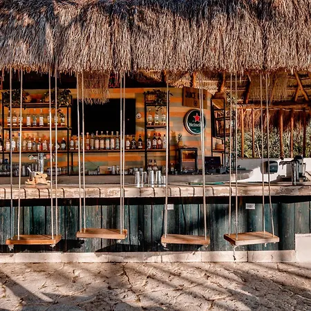 Mayan Monkey - Social (adults Only) Hostal