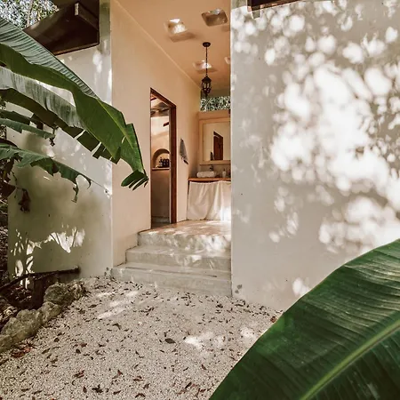 Casa Arkaana Eco Retreat