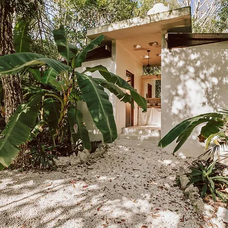 Casa Arkaana Eco Retreat Hotel Tulum