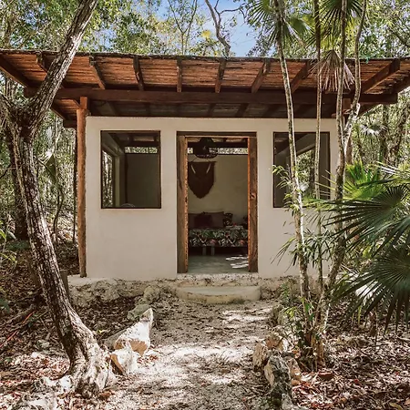 Casa Arkaana Eco Retreat *