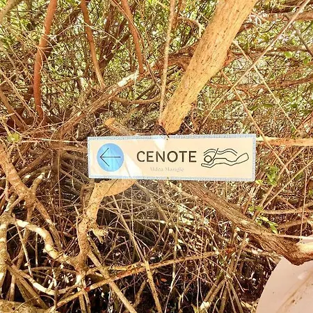 - Aldea Mangle & Cenote Lodge