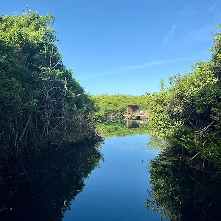 Lodge - Aldea Mangle & Cenote Tulum