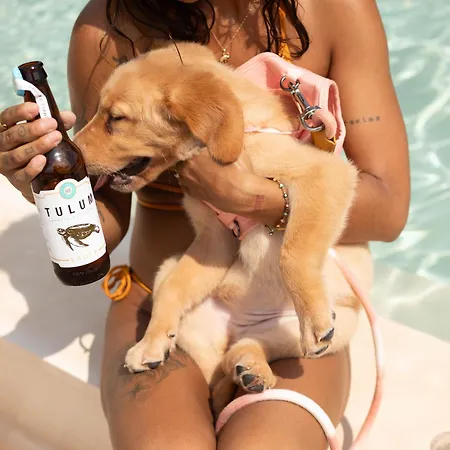 Kuunaa Tulum I Beer Sanctuary & Spa (Adults Only) Hotel 4*
