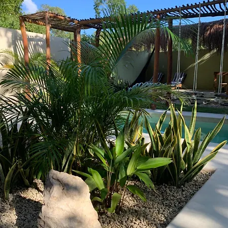 Holiday home Casa Calu Cozy & Confortable Jungle House With Pooll