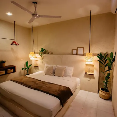 Hotel Noah 3*