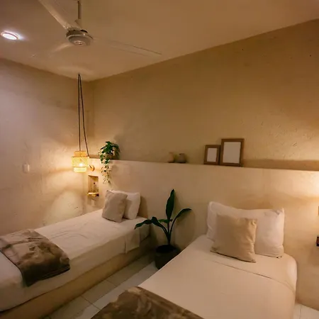 Noah Hotel 3*