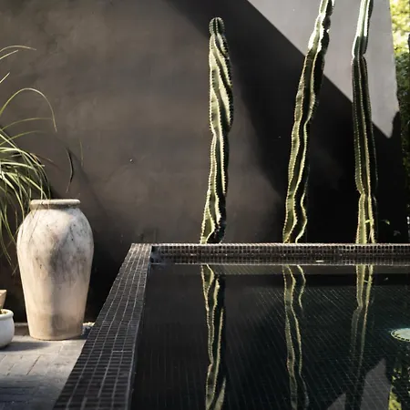 Design Luxury 3br With 3 Pools, Stunning Rooftop, Boho Style, Near Villa Tulum