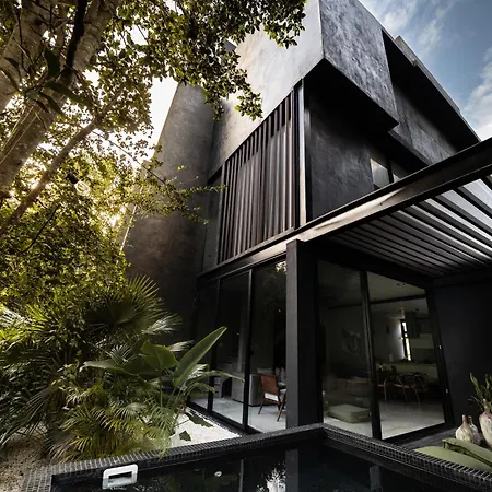 Villa Design Luxury 3br With 3 Pools, Stunning Rooftop, Boho Style, Near Tulum