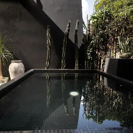 Design Luxury 3br With 3 Pools, Stunning Rooftop, Boho Style, Near