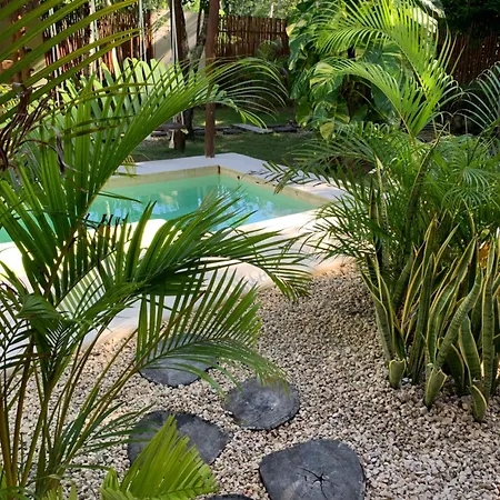 Casa Calu Cozy & Confortable Jungle House With Pooll *