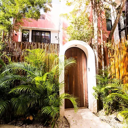 Villa Casona Mezcalito - Pool *