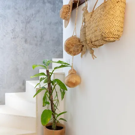 Boho Style Penthouse With Private Pool 150 Wifi Apartment *