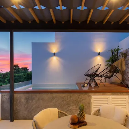 Apartment Ixchel Luxury Ph Priv Rooftop Pool 150 Wifi