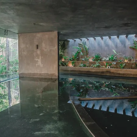 Magical 2 Penthouses & With 2 Private Pools And Jacuzzi *