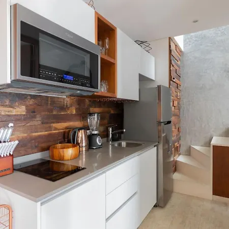 Ixchel Luxury Ph Priv Rooftop Pool 150 Wifi