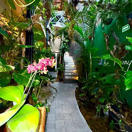 Kasa Nikte * Tulum