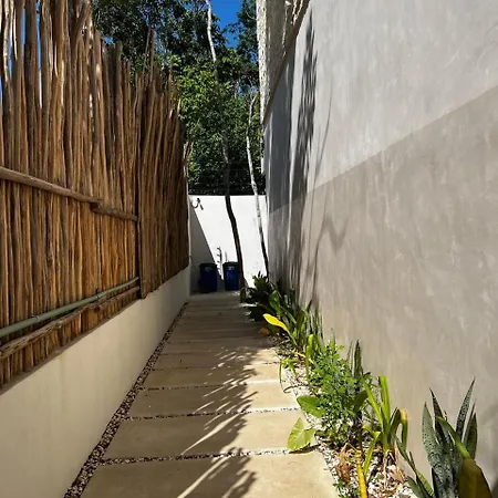 Estudios Paraiso S9 Tulum