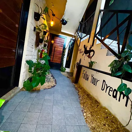 Kasa Nikte Apartment