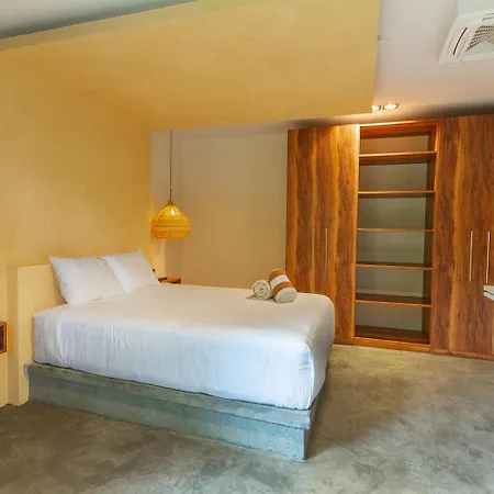 Apartment Amplio Y Comodo 1br En *