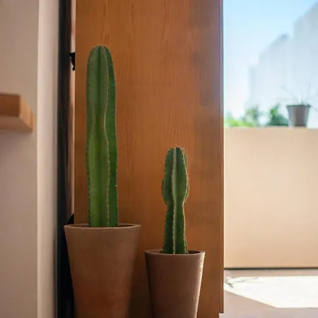 Apartment A Sweet Jungle In Aldea Zama Tulum