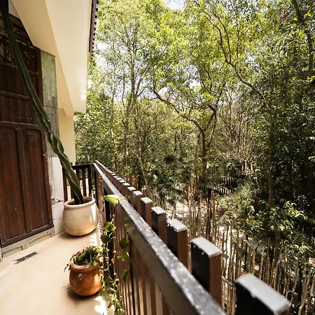 Apartment Magical Jacuzzi At Jungle 