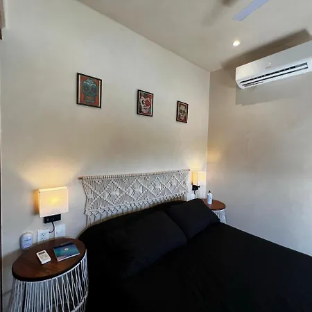 Estudios Paraiso S9