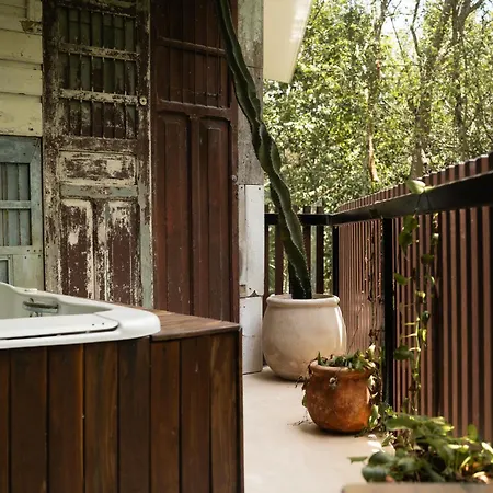 Magical Jacuzzi At Jungle 