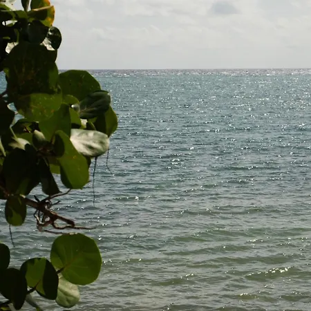Kaoba Oceanfront Residences * Tulum